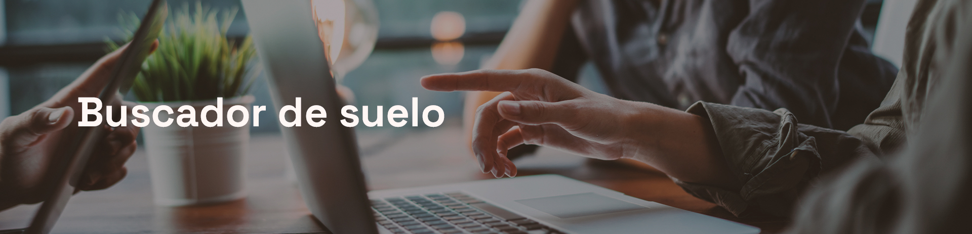 buscador-de-suelo