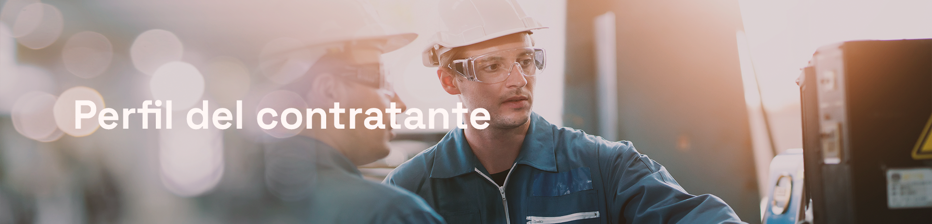 Perfil del contratante